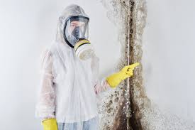 Best Residential Mold Inspection & Testing  in Sturtevant, WI